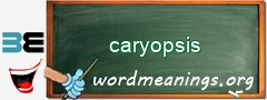 WordMeaning blackboard for caryopsis